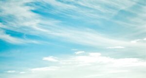 Nigeria’s Rice Revolution at a Crossroads