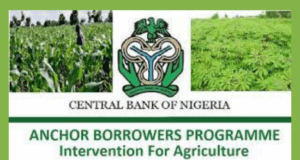 Nigeria@65: The Case for Reintroducing the Anchor Borrowers Programme – With Smarter Modifications