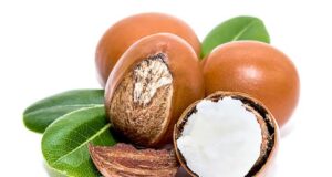NIGERIA IMPOSES SIX MONTHS BAN ON SHEA NUTS, AMIDST FEARS THAT IT MIGHT SPREAD TO OTHER COMMODITIES