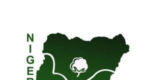 Nigeria@65: NACOTAN, Governor Bago and the Transborder Cotton Renaissance