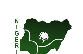 Nigeria@65: NACOTAN, Governor Bago and the Transborder Cotton Renaissance