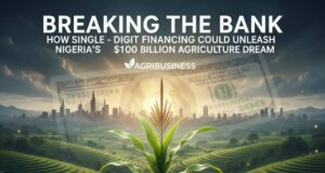 Breaking the Bank: How Single-Digit Financing Could Unleash Nigeria’s $100 Billion Agriculture Dream