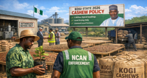 Kogi’s 2026 Cashew Policy: Ambition, Enforcement and the Risk of Local Sabotage