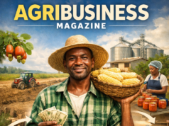 Beyond the Hoe: Why Igala Farmers Must Think in Value Chains