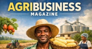 Beyond the Hoe: Why Igala Farmers Must Think in Value Chains